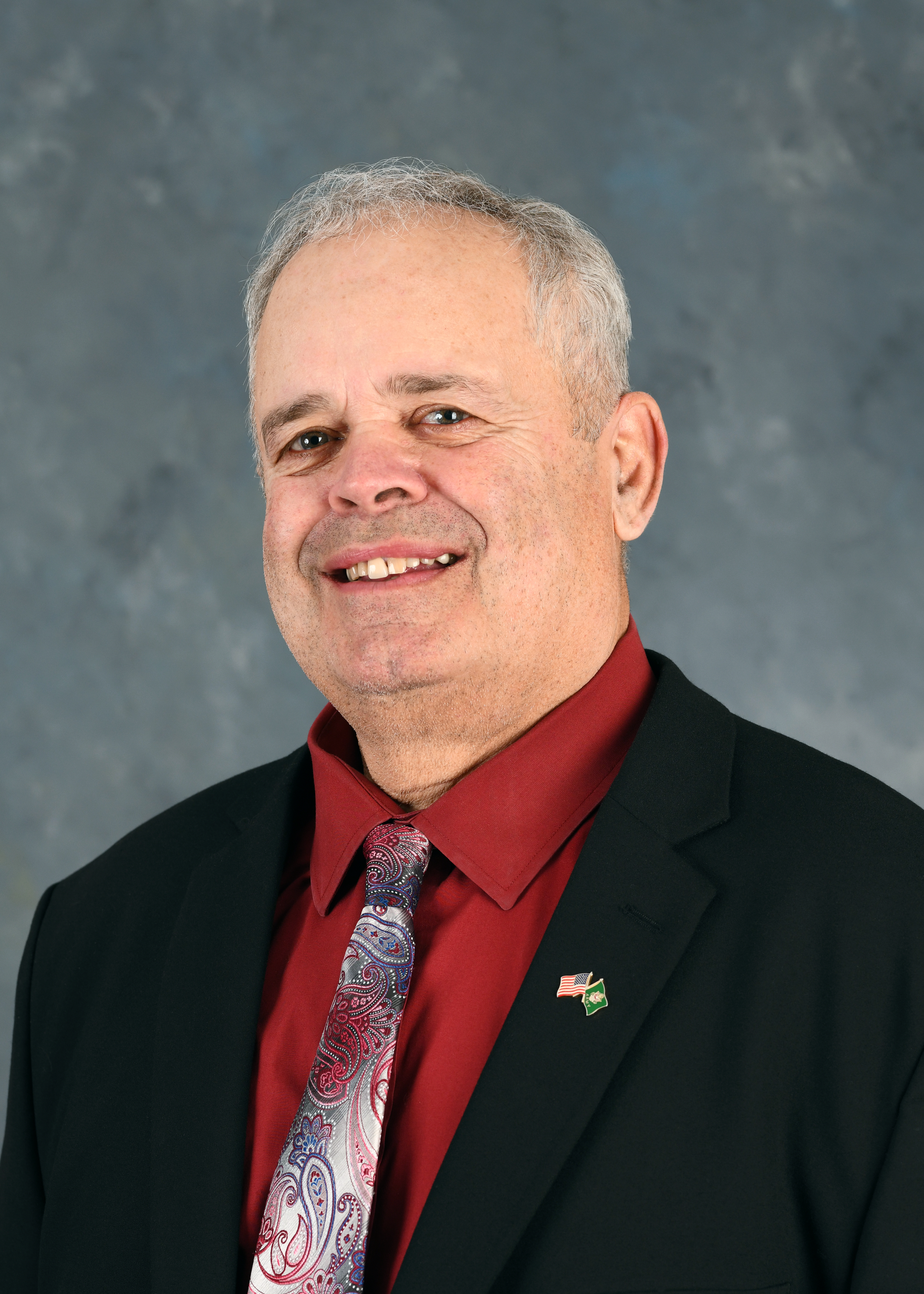 Photograph of Representative  Dan Swanson (R)